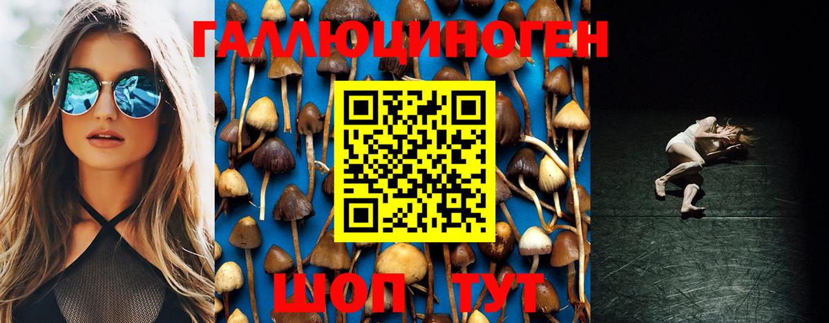 Псилоцибиновые грибы Cubensis Зерноград